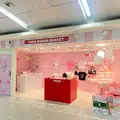 YEGG POP UP 개최!                                                    
